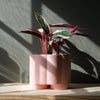 Pillar Planter
