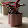 Pillar Planter