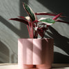 Pillar Planter