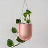 Portico Planter