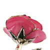 Timeless Rose (Pink)