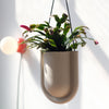 Portico Planter
