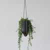 Portico Planter