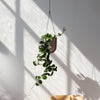 Portico Planter