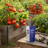 RAW Potassium | 50% Water-Soluble Potash | Potassium Sulfate Supplement