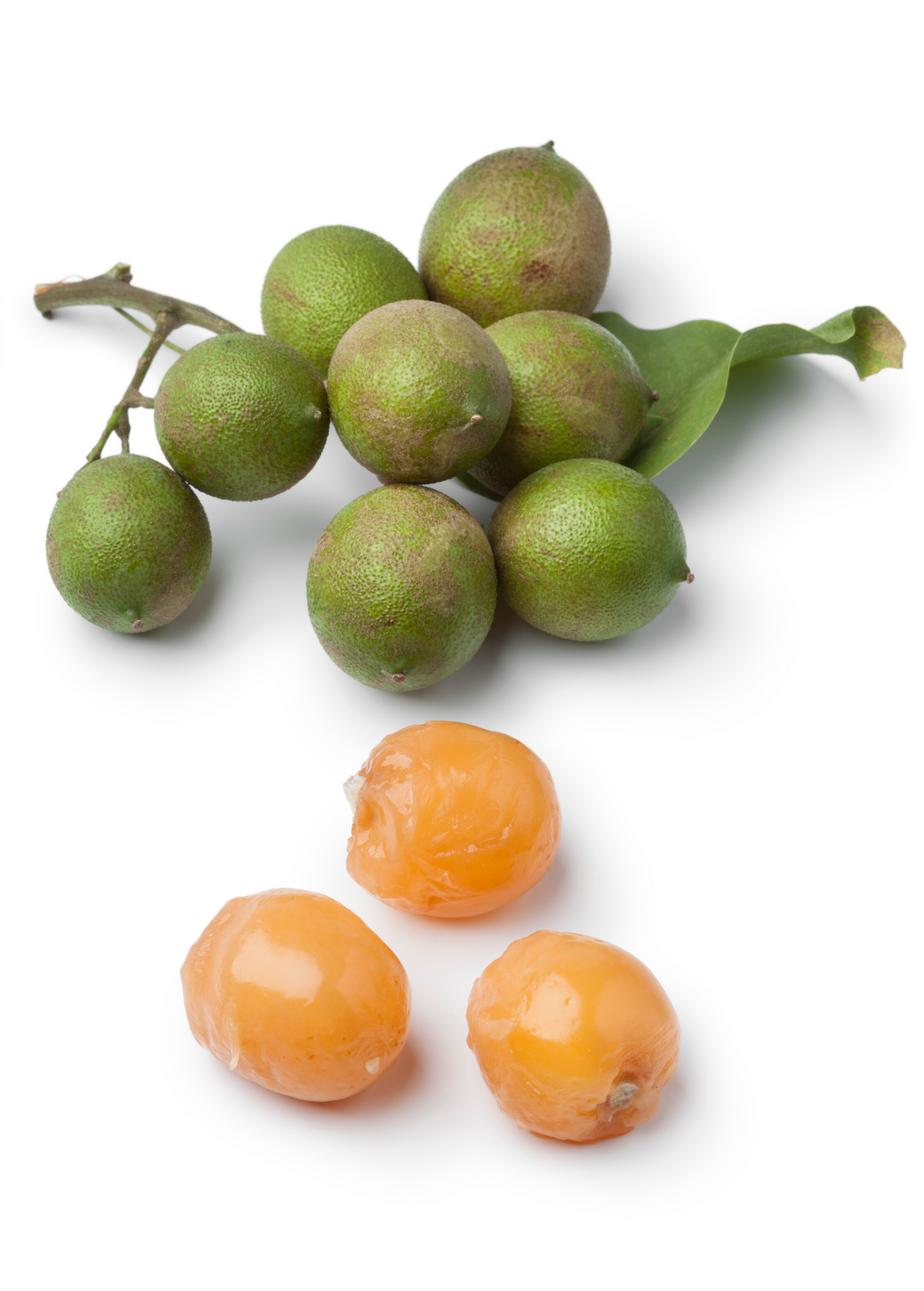 Spanish Lime, Quenepa (Melicoccus bijugatus) – The Plant Seed