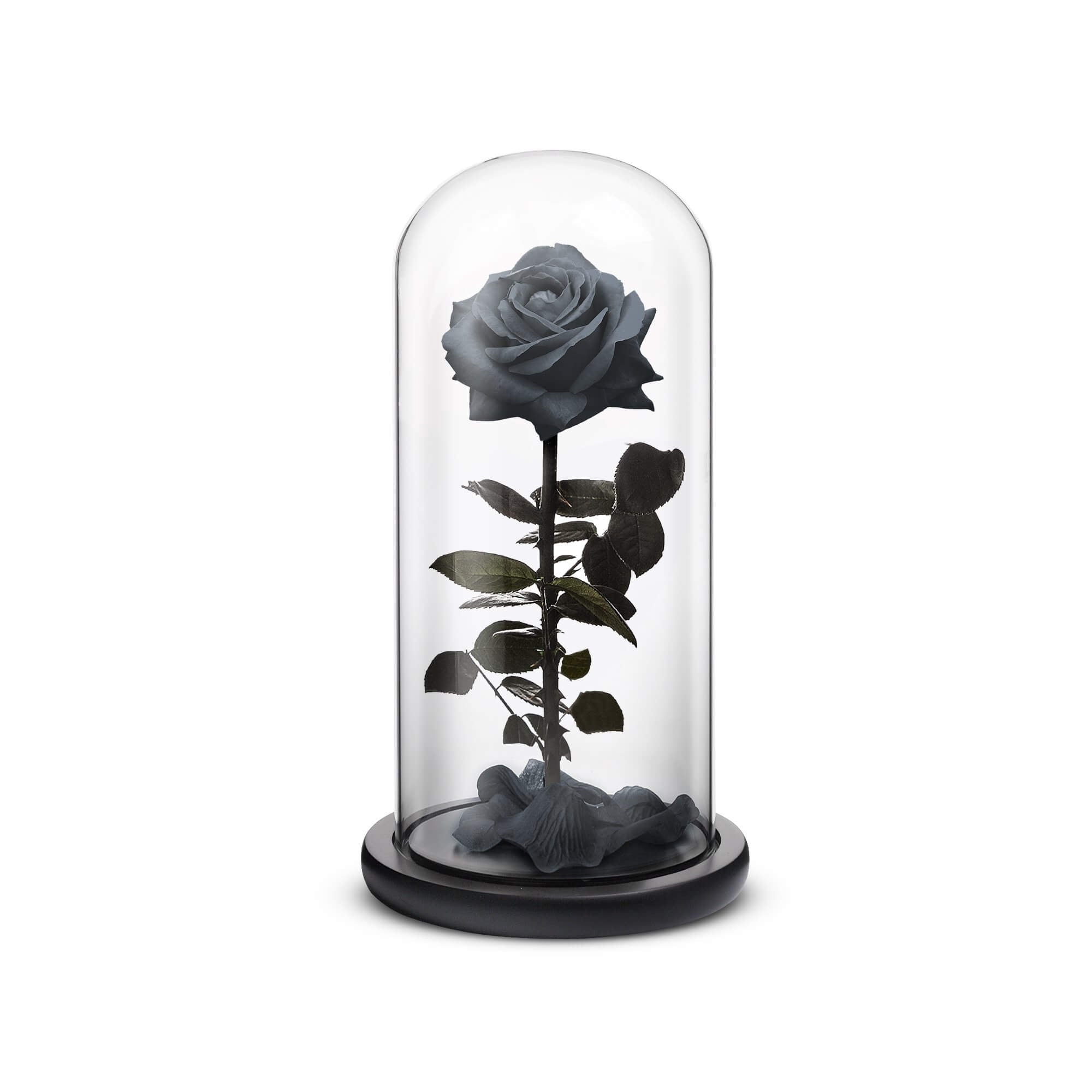 Everlasting Rose (Black)