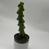 Boobie Cactus