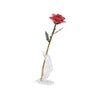Timeless Rose (Rich Pink)