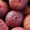 Fig 'Royal Vineyard' (Ficus carica)
