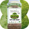 Simple Lawn Fine Fescue Grass Seed – photo 15