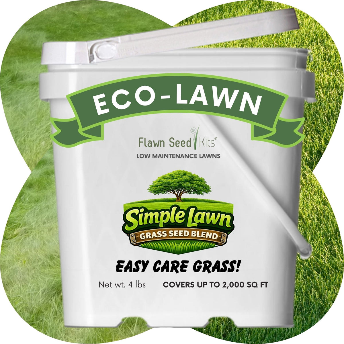 Simple Lawn Fine Fescue Grass Seed – photo 16