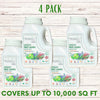 Speedy Bee Lawn Seed Kit
