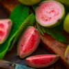 Scarlet Guava (Psidium guajava)