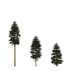Grow Your Own CHRISTMAS TREE - Douglas Fir ( Pseudotsuga Menziesii ) Gift Packet of Tree Seeds