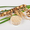250 SWEET FLAG GRASS Wetland Pond Acorus Calamus Ornamental Seeds