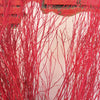 20 RED TWIG DOGWOOD American Red Osier Shrub White Flower Cornus Sericea Seeds