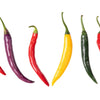 100 MIXED CAYENNE PEPPER Hot Yellow Purple Orange Red Green Capsicum Vegetable Seeds