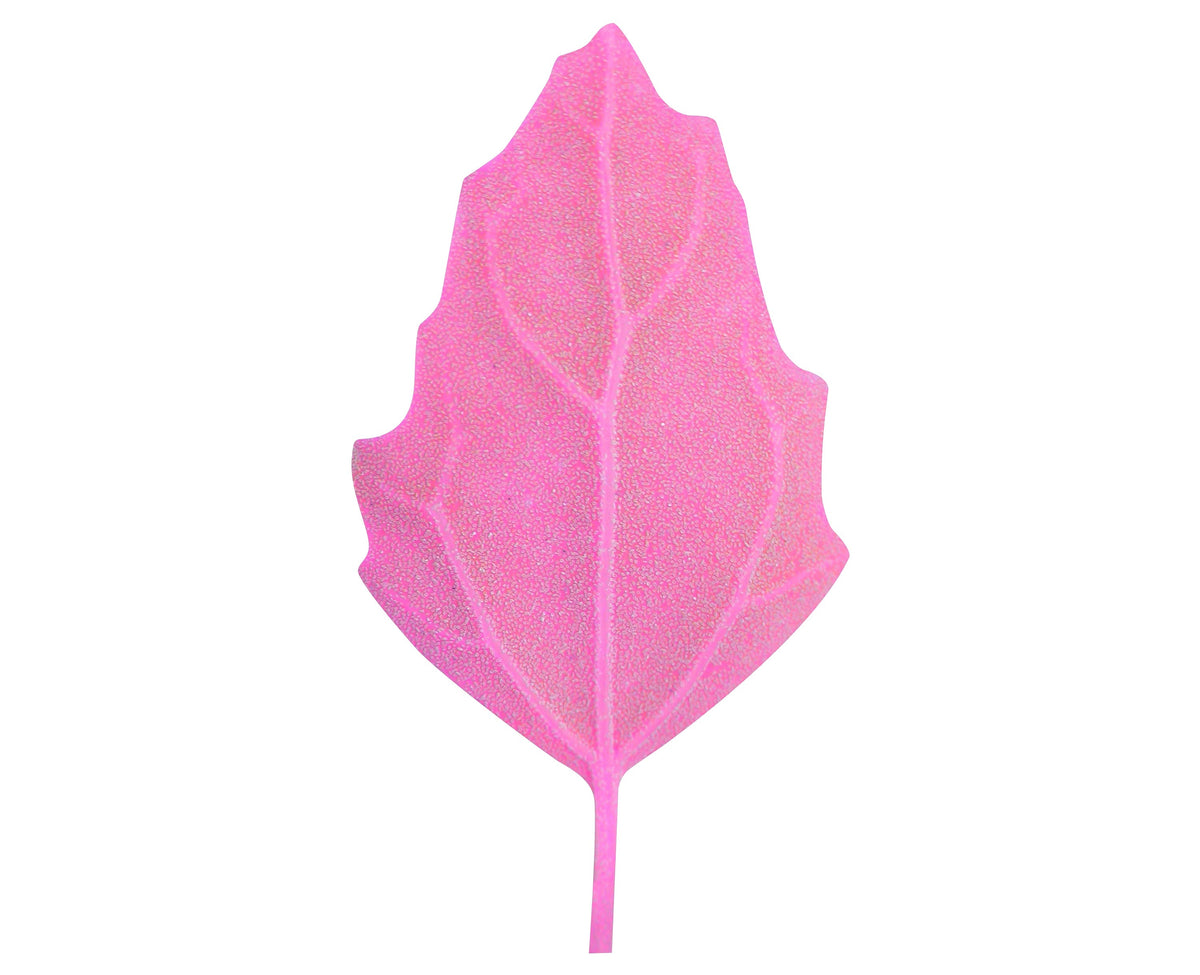 Organic Red Aztec Spinach Seeds – Huauzontle Chenopodium Berlandieri Greens Vegetable – photo 5