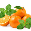 25 Orange MANDARINA BALM Mandarin Lemon Balm Melissa Officinalis Herb Seeds