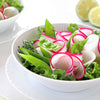 100 PINK SUMMERSICLE RADISH Raphanus Sativus Root Vegetable Seeds