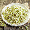 100 GREEN LENTIL Lentils Lens Culinaris Vegetable Seeds