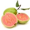 1000 BULK GUAVA Fruit Tree Shrub Psidium Guajava White Flowers Fruit Seeds