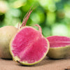 300 WATERMELON RADISH Beauty Heart Raphanus Sativus Pink White Vegetable Seeds