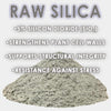RAW Silica | 45% Silicon Dioxide | pH Neutral Biogenic Silica