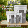 RAW Silica | 45% Silicon Dioxide | pH Neutral Biogenic Silica