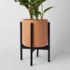 Rounded Hardwood Plant Stand