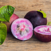 Purple Caimito, Star Apple (Chrysophyllum cainito)
