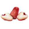 Malay Apple (Syzygium malaccense)
