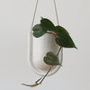 Portico Planter