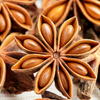 Star Anise (Illicium verum)