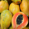 Sunset Solo Papaya (Carica papaya)