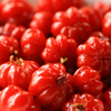Surinam Cherry (Eugenia uniflora)