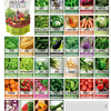 Vegetable Seed Vault Kit | 35 Variety Pack
