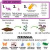 Sweet Alyssum Royal Carpet Seed Pouch