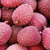 Lychee 'Sweetheart' (Litchi chinensis)