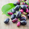 Jamun (Syzygium cumini)