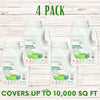 Thick Bee Lawn Seed Kit