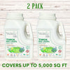 Thick Bee Lawn Seed Kit