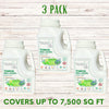 Thick Bee Lawn Seed Kit