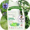 Thick Bee Lawn Seed Kit