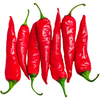 Thai Chili (Capsicum annuum)