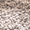 Heirloom Great North Beans