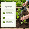 Vegetable Seed Vault Kit | 35 Variety Pack