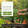 Vegetable Seed Vault Kit | 35 Variety Pack