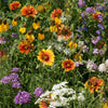 No Deer Here Wildflower Mix – Unsavory Species to Deer